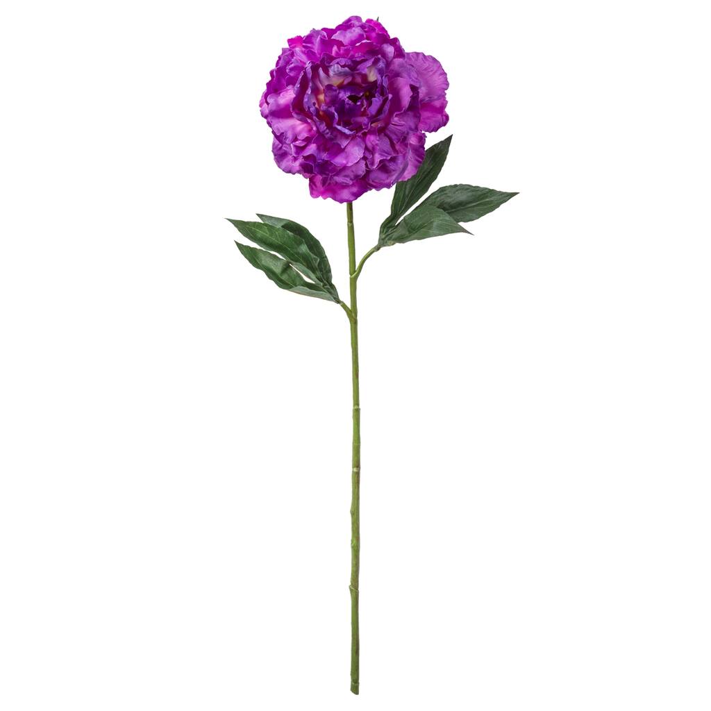 10501946.jpg img